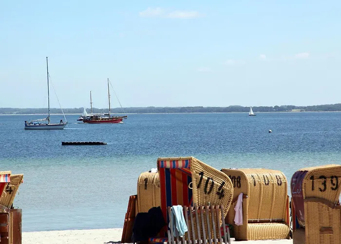 Goldsprotte * Eckernförde