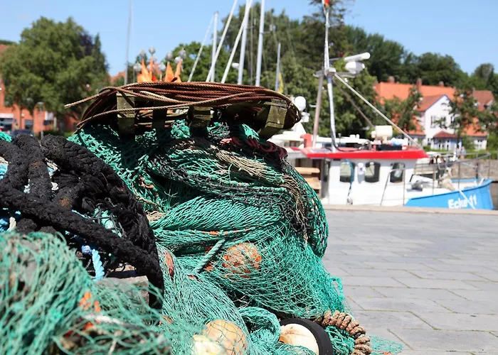 Goldsprotte * Eckernförde